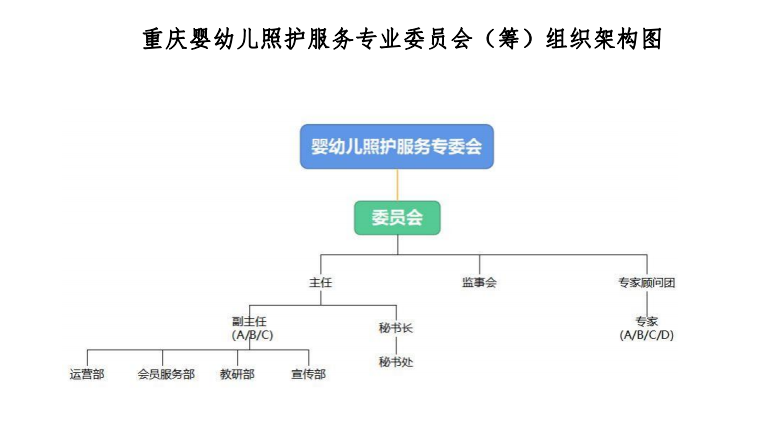 重慶市繼續(xù)教育學(xué)會嬰幼兒照護服務(wù)專業(yè)委員會