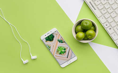 教育學(xué)成人高考專升本考什么？