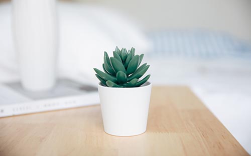 四川成人高考學(xué)費多少錢? 四川成人高考學(xué)費多少錢?