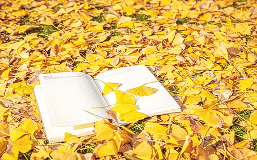 成人高考中專學(xué)歷可以做教師嗎？