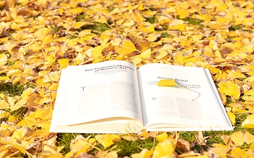 自學(xué)考試藝術(shù)類專業(yè)有哪些?