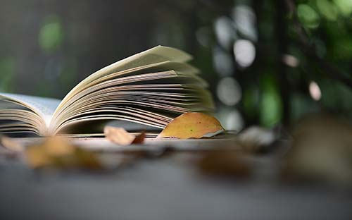 成人高考高升專一般需要多少分？