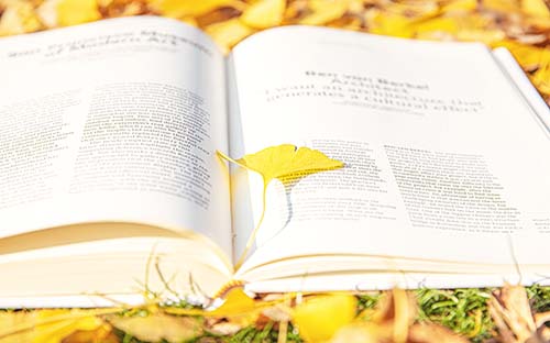 湖南省成人高考報(bào)考的人多嗎？