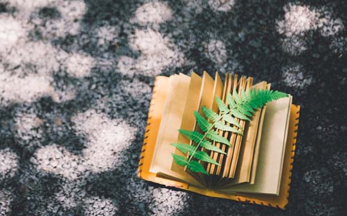 自考學(xué)歷可以報(bào)考哪些證書? 自考學(xué)歷可以報(bào)考哪些證書?