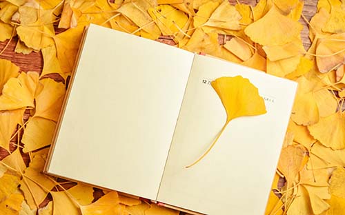 成人高考有哪些相關(guān)助學(xué)單位？