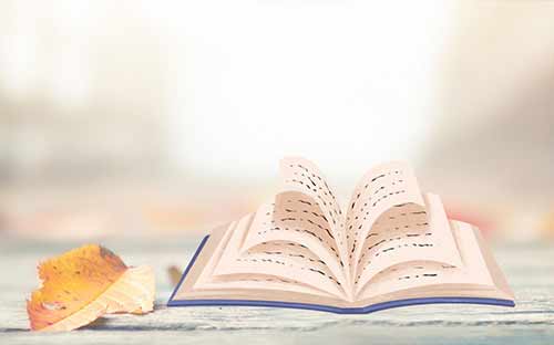 東莞一年能參加幾次自考？