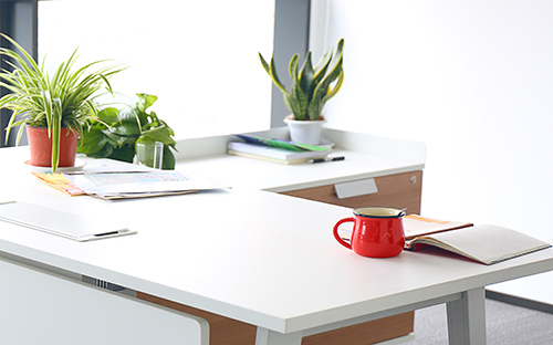 成人高考中醫(yī)學(xué)專業(yè)考試內(nèi)容？