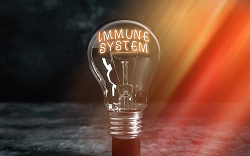 小學(xué)學(xué)歷能不能參加成人高考？