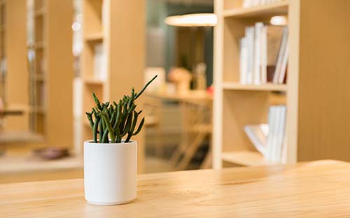 自考本科畢業(yè)論文答辯流程有什么？