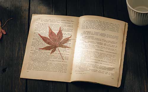 海南成人高考成績什么時候出？
