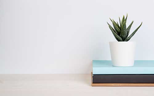 湖南成人高考專升本英語(yǔ)怎么復(fù)習(xí)？