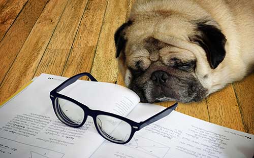 自考本科實踐課程怎么報考？