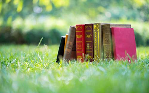 成人高考人力資源專業(yè)好考嗎？