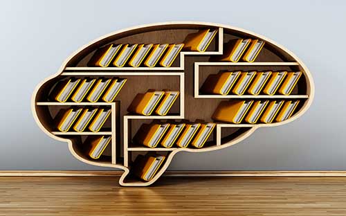 紹興成人高考在哪里考試？