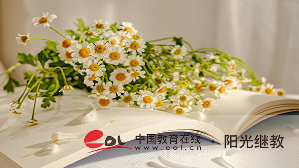 深圳成人高考有哪些專業(yè)可選？要如何選擇？