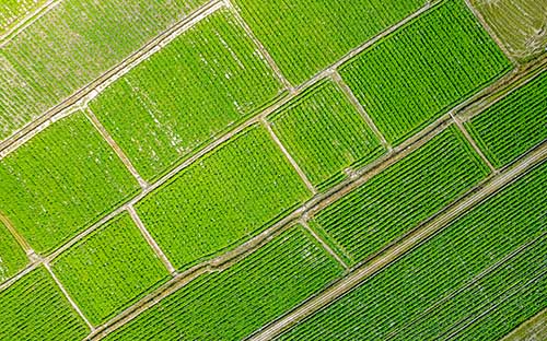 成人高考?？茖W(xué)歷如何報名？有學(xué)位證書嗎？