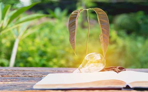 成人高考如何個人報名考試？照片不合格怎么辦？