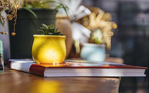 本科建筑系留學(xué)大學(xué)有哪些，申請條件是什么