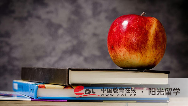 報名廣州工商學(xué)院中外合作國際本科一加三條件 報名廣州工商學(xué)院中外合作國際本科一加三條件