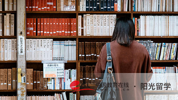 美國(guó)游戲設(shè)計(jì)專業(yè)本科留學(xué)有哪些條件