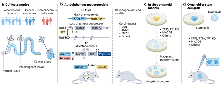 四川大學(xué)科技成果 四川大學(xué)科技成果