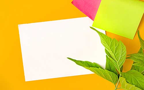 上海市自考的報(bào)名入口是什么？報(bào)名流程是什么？