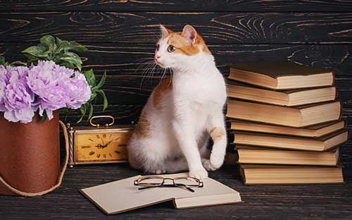 杭州成人在職自考本科怎么報名？需要注意哪些問題？